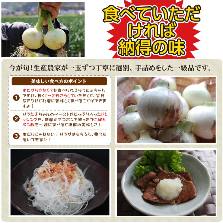 【5月中旬発送予定分】サラたまちゃん