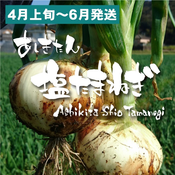 【5月中旬発送予定分】あしきたん塩たまねぎ