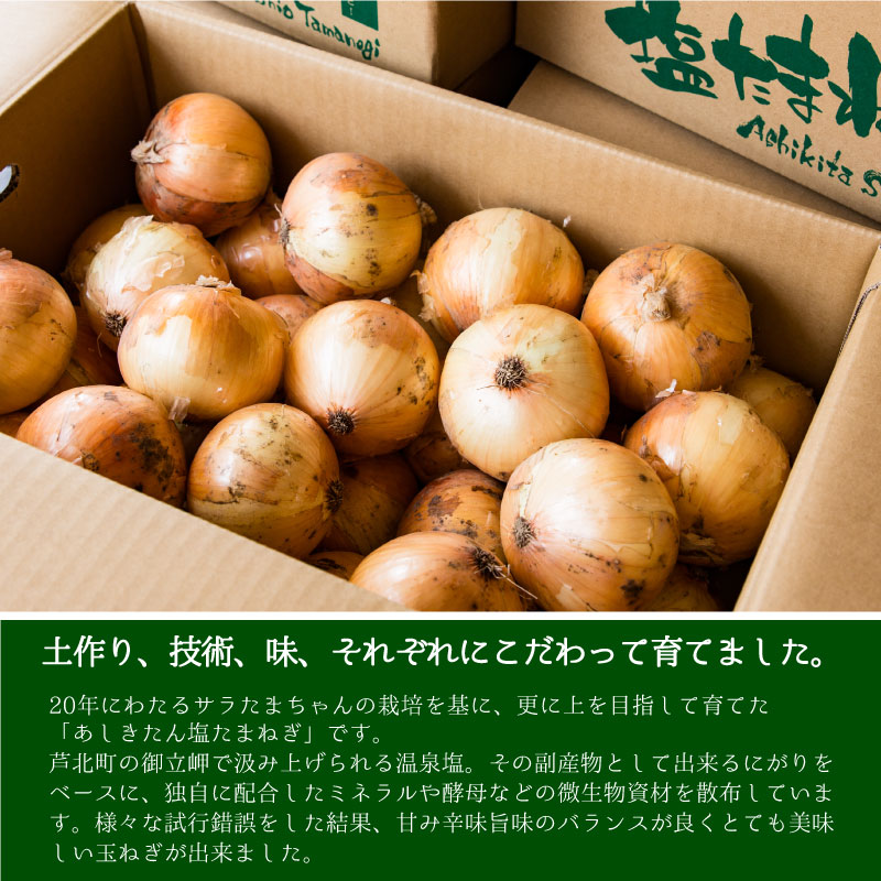 【5月中旬発送予定分】あしきたん塩たまねぎ
