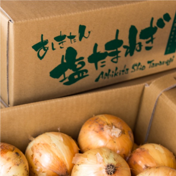 【5月中旬発送予定分】あしきたん塩たまねぎ