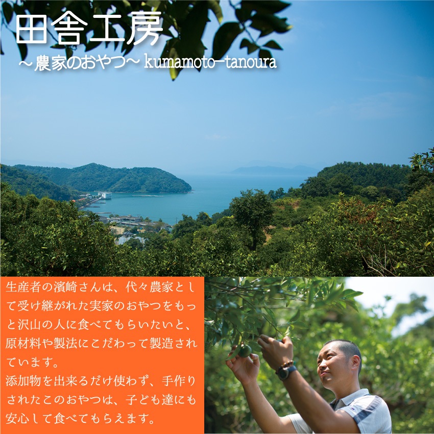 田舎工房　ドライフルーツティースティック