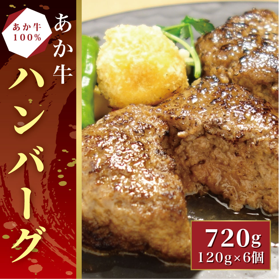 あか牛100%ハンバーグ セット(あか牛ハンバーグ120g×6個)【産地直送】