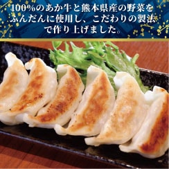 熊本和牛あか牛ぎょうざ 60個（あか牛ぎょうざ20個入り×3箱）【産地直送】