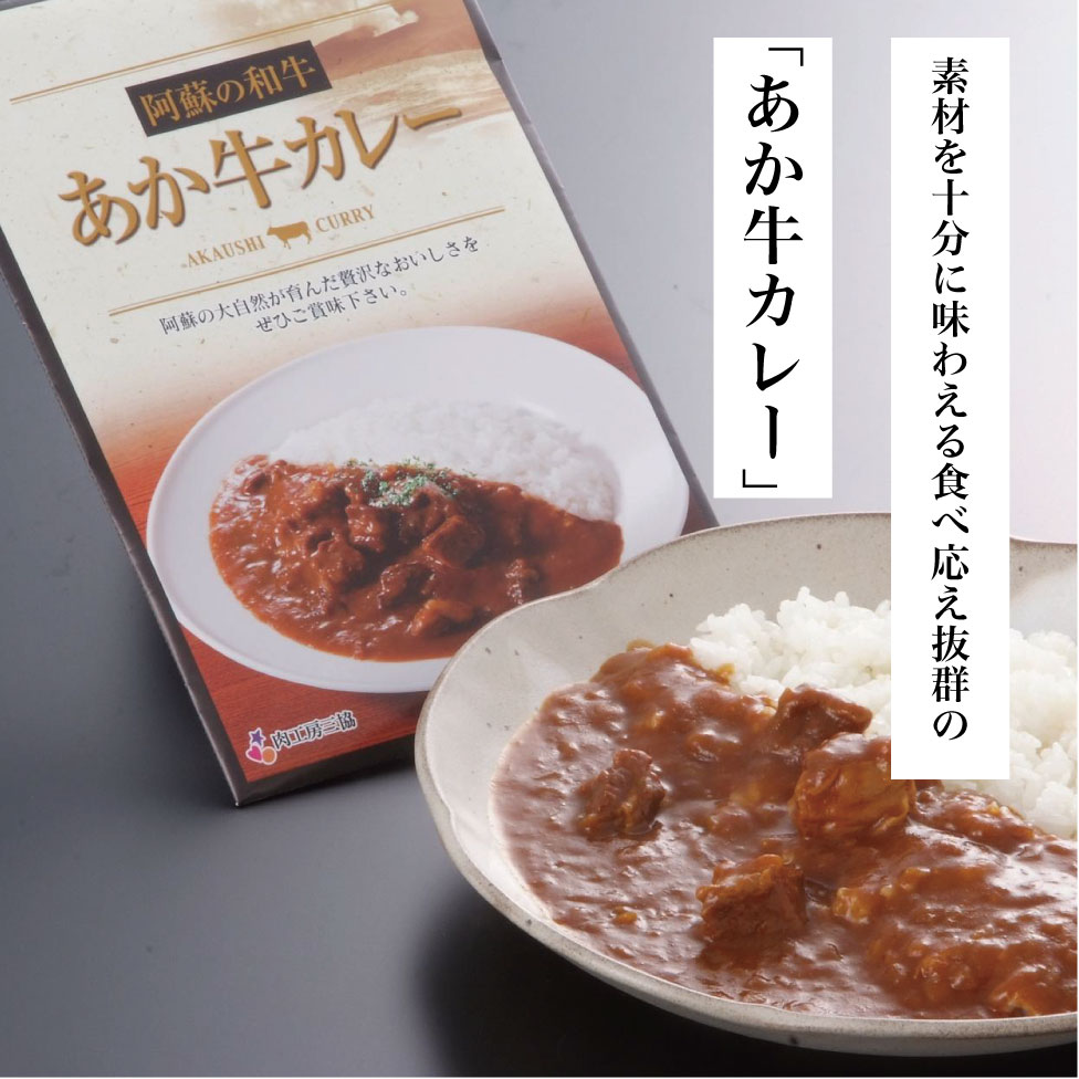 あか牛カレー詰め合わせセット(あか牛カレー180g×2、あか牛100%挽肉カレー220g×2)【産地直送】