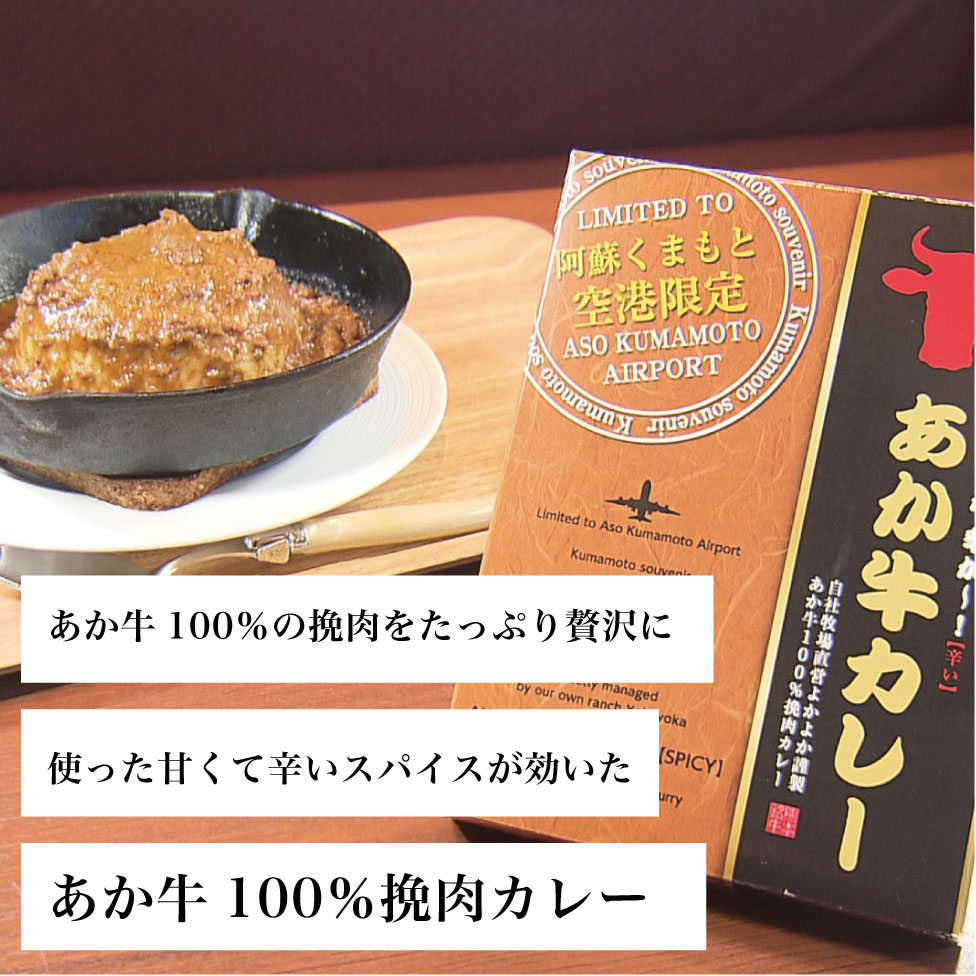 あか牛カレー詰め合わせセット(あか牛カレー180g×2、あか牛100%挽肉カレー220g×2)【産地直送】