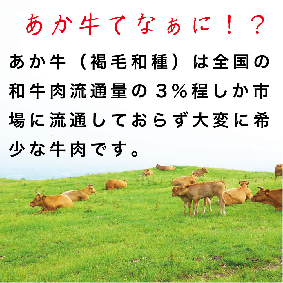 熊本和牛あか牛お土産品セット（あか牛カレー180g、あか牛100％挽肉カレー220g、あか牛しぐれ煮100g、あか牛肉みそ140g）【産地直送】