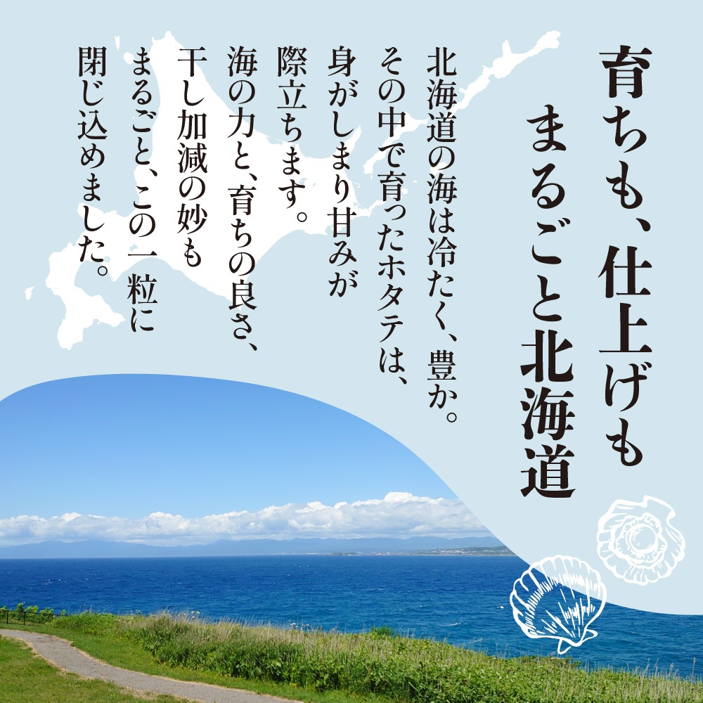 北海道産 一夜干ソフト帆立 100g 送料無料 旨み溢れる ジューシー ホタテ ほたて 北海道 国産 業務用 お徳用 おつまみ 晩酌 メール便 お試し 大容量 訳あり