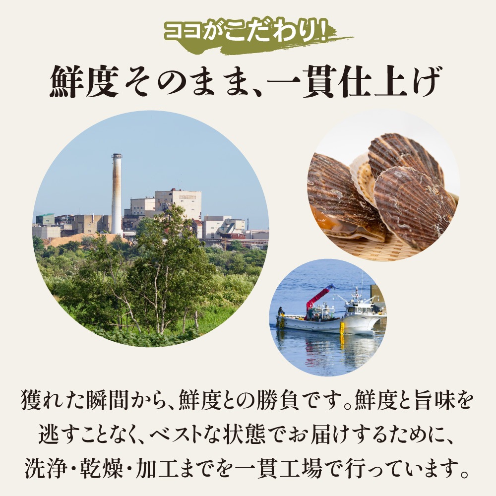北海道産 一夜干ソフト帆立 100g 送料無料 旨み溢れる ジューシー ホタテ ほたて 北海道 国産 業務用 お徳用 おつまみ 晩酌 メール便 お試し 大容量 訳あり