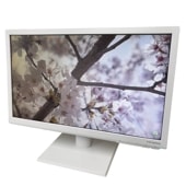 IOǡ 18.5磻ɱվǥץ쥤 LCD-AD194ESW 1366768 FWXGA ʥ ǥ ֥롼 եå쥹 ǥץ쥤 PC ˥ վ ǡ IODATA TN  ھդ̵ۡš