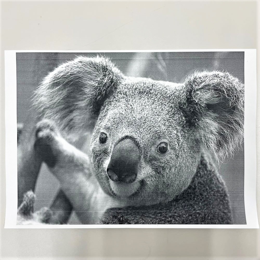 ������(NTT) TASKalfa 256i A3��Υ���ʣ�絡 �������5671�� 2016ǯ6���� ��Υ��� ��� ���ԡ������緿����ȯ���ۡ��������Ӹ��Ѥ�ۡ���š�