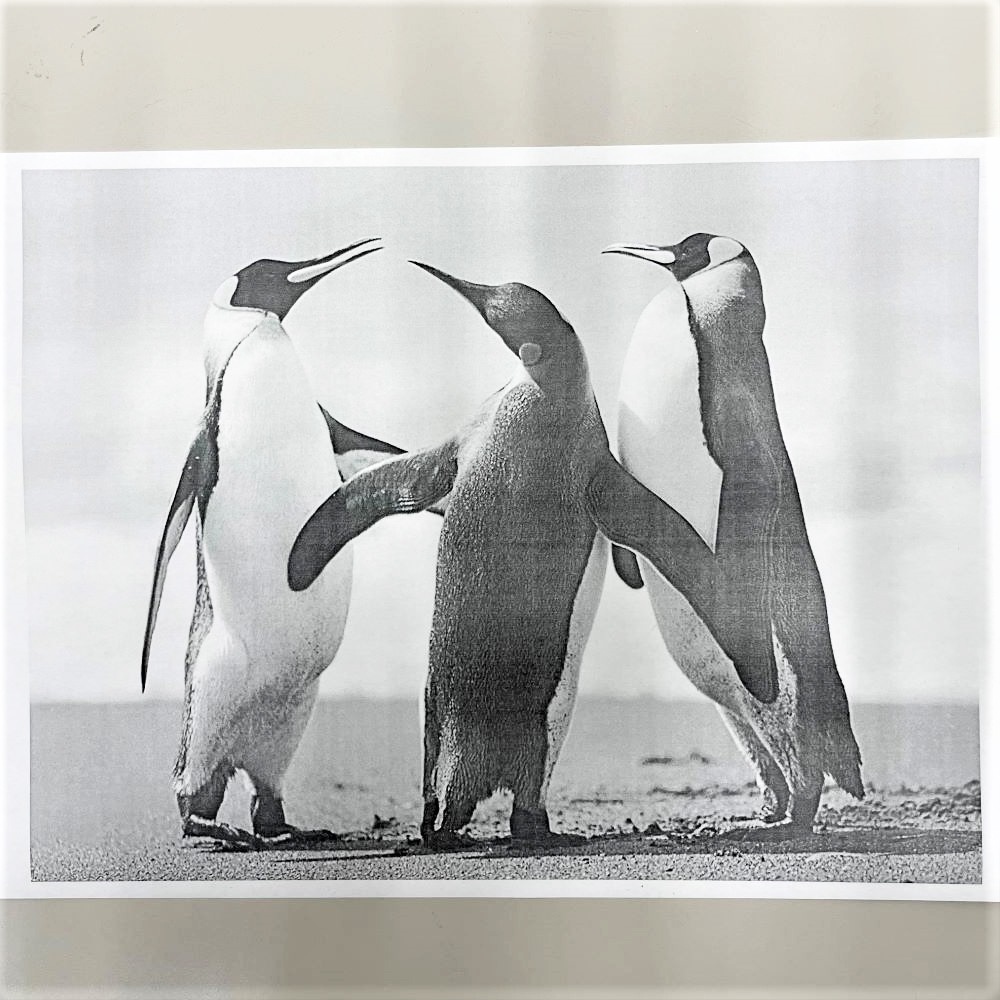 Υ MF7455N A3Υʣ絡 8661 Υ  ԡ緿ȯۡӸѤۡš