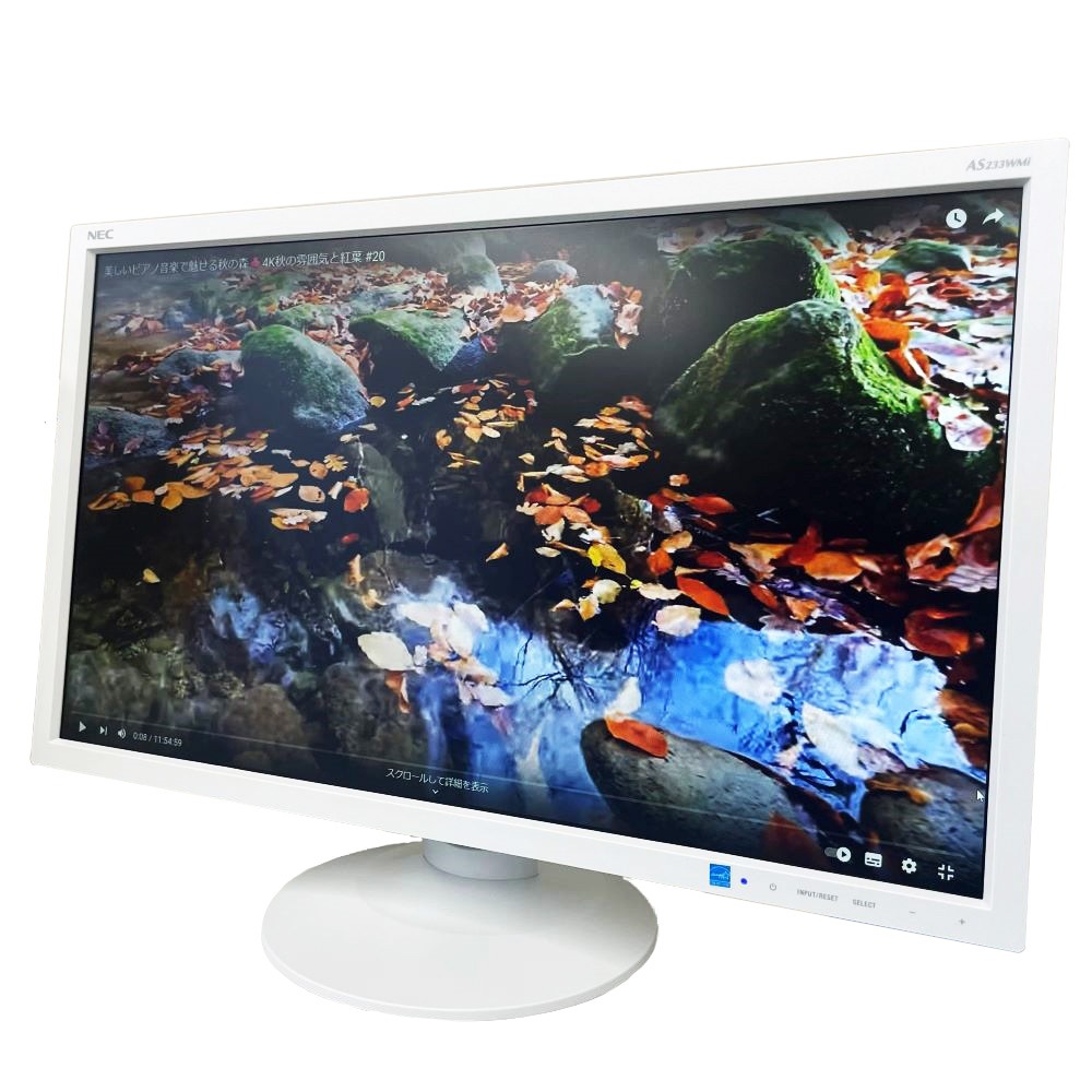 NEC 23�� IT/����������ɱվ��ǥ����ץ쥤 LCD-AS233WMi 1920x1080 �ե�HD ���ʥ��� �ǥ����� HDMI ���ԡ�������� ��LED �Υ󥰥쥢 �֥롼�饤���㸺 �ǥ����ץ쥤 PC ��˥��� �ھ���դ�����̵���ۡ���š�