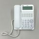 SAXA ������ �ӥ��ͥ��ۥ� PLATIA III Standard PT3000Std TD1010 ���õ����å� FT�ե�����VoIP����16���� �롼������ǽ 18�ܥ���ɸ�����õ� �����ӥå� �ӥ��ͥ����ե����� ������̵���ۡ���š�