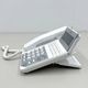 SAXA ������ �ӥ��ͥ��ۥ� PLATIA III Standard PT3000Std TD1010 ���õ����å� FT�ե�����VoIP����16���� �롼������ǽ 18�ܥ���ɸ�����õ� �����ӥå� �ӥ��ͥ����ե����� ������̵���ۡ���š�