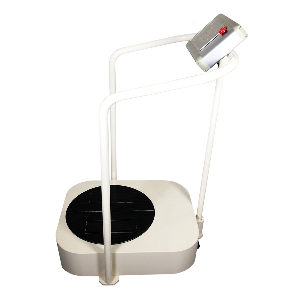 �ե������ȥ����ƥ� ������󥰥���ԡ� RSP-002 ���ѥ��������� ����������ˡ 2010ǯ�� ����Ҽ���ư�������緿����ȯ���ۡ��������Ӹ��Ѥ�ۡ���š�