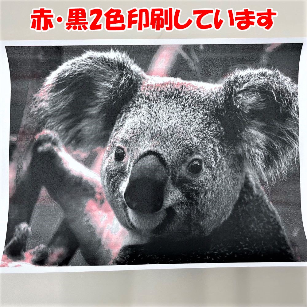 Υ image RUNNER iR W1040F ֡2 A2ʣ絡 21609 Υ  ԡ緿ȯۡӸѤۡš