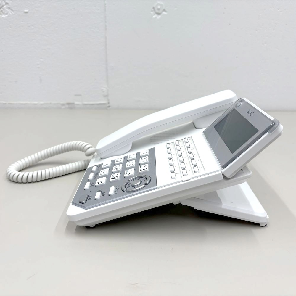 SAXA ������ �ӥ��ͥ��ۥ� PLATIA III Profesional PT3000Pro TD1010 ���õ����å� �Ҥ��������б� VoIP����16ch �롼������ǽ 18�ܥ���ɸ�����õ� �����ӥå� �ӥ��ͥ����ե����� ������̵���ۡ���š�