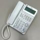 SAXA ������ �ӥ��ͥ��ۥ� PLATIA III Profesional PT3000Pro TD1010 ���õ����å� �Ҥ��������б� VoIP����16ch �롼������ǽ 18�ܥ���ɸ�����õ� �����ӥå� �ӥ��ͥ����ե����� ������̵���ۡ���š�