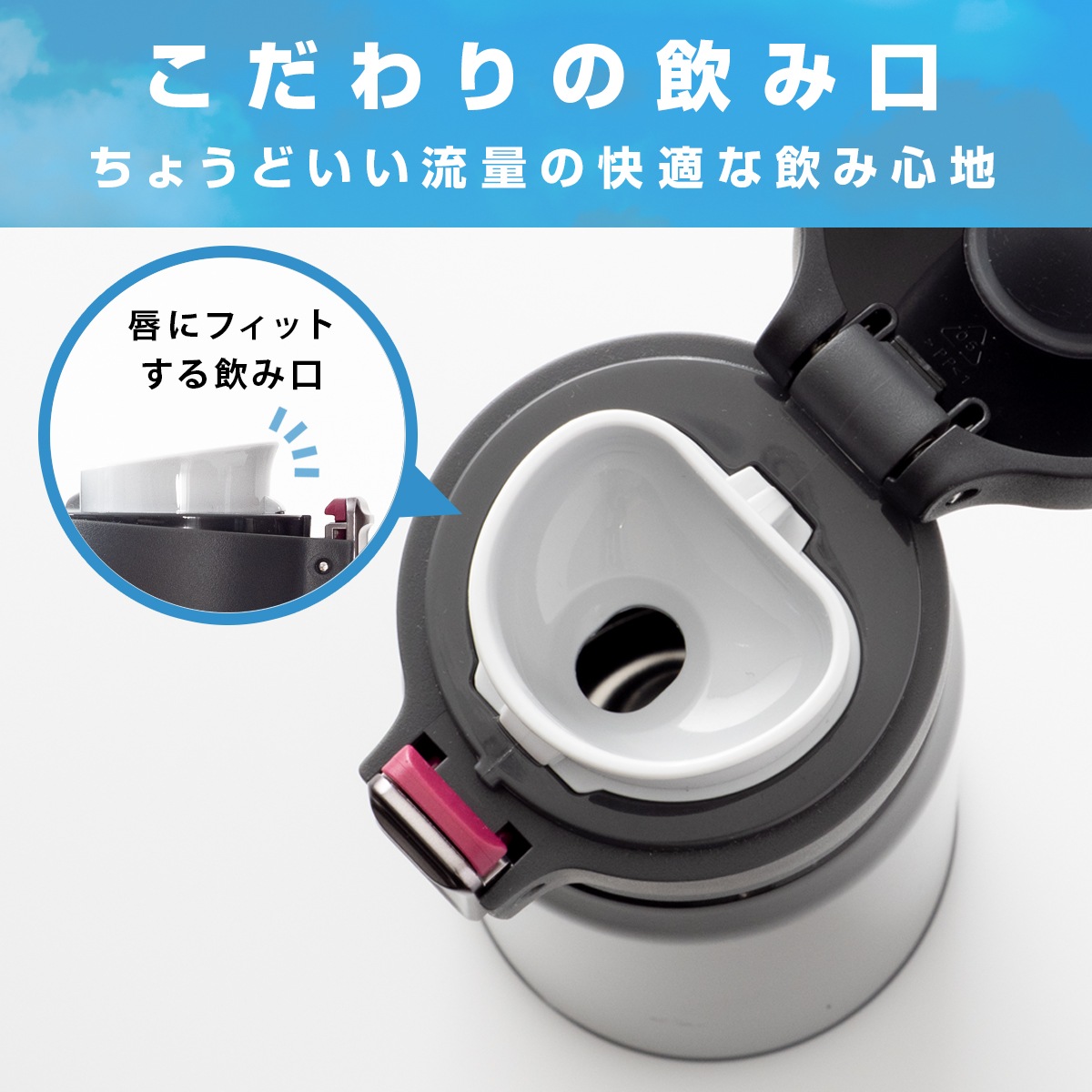 Airlist（エアリスト）分解できる 超軽量ワンタッチボトル 800ml ネイビー AREW-800NV