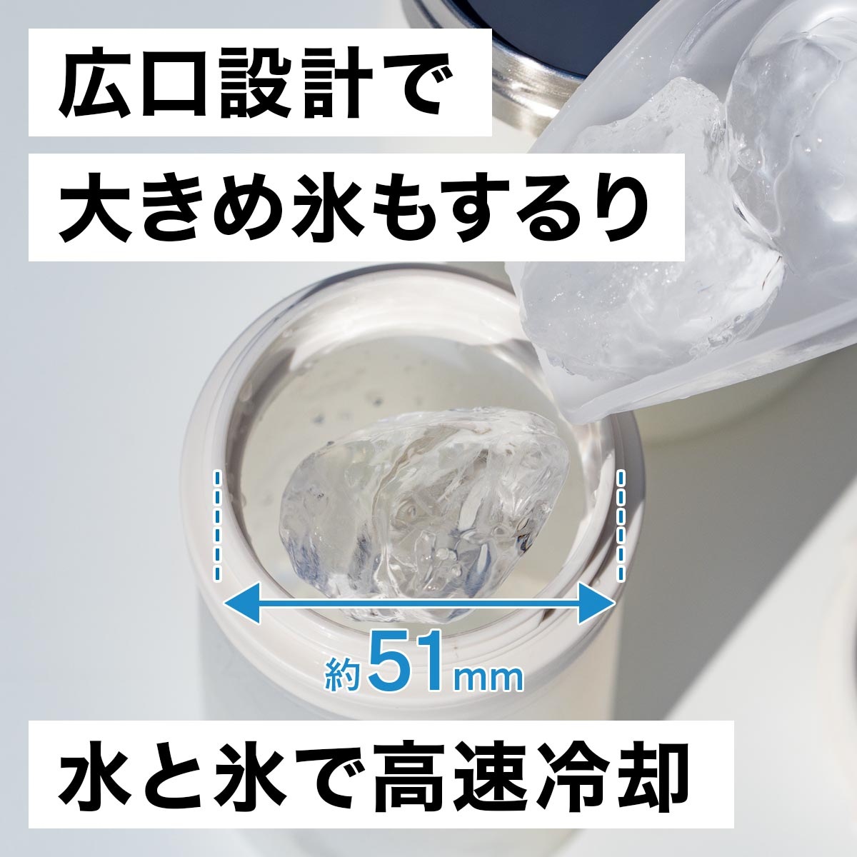 Bottle in Ice Pack（ボトルインアイスパック）氷のう ABIP-77
