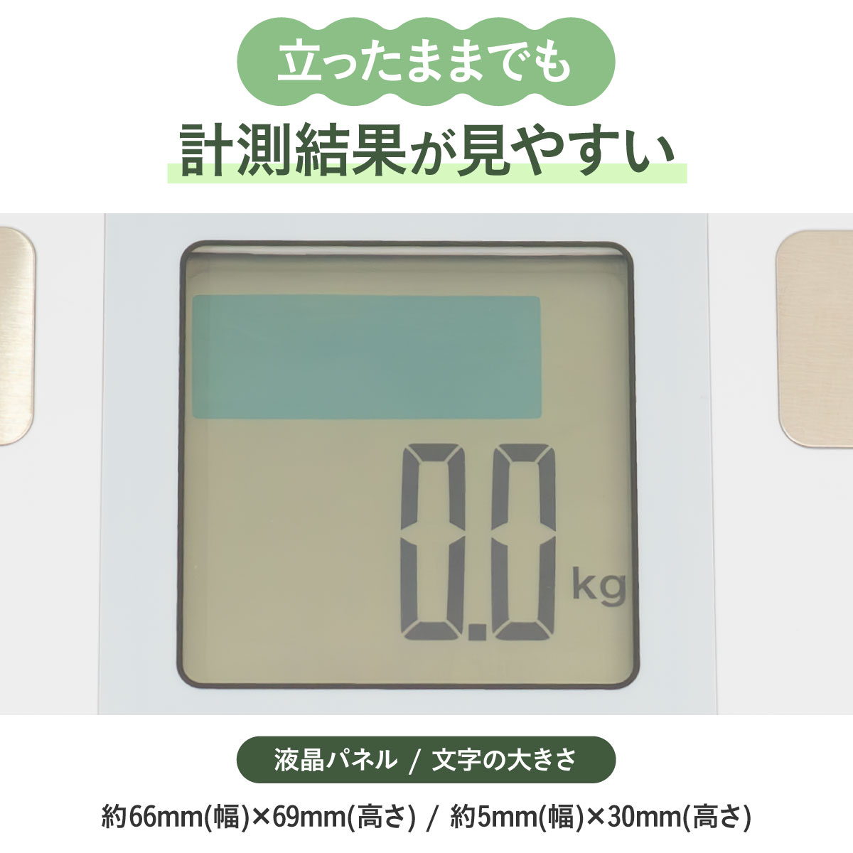 Healthy Guard（ヘルシーガード） 体組成計 ヘルスメーター AHGS-2000 ライトグレー チャコール