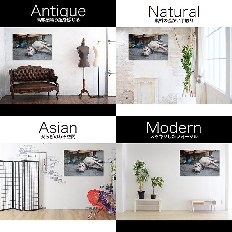 ���������ۥ����ȥܡ���/�����ȥѥͥ� artmart �����ȥޡ��� �����̿��򥢥�ߥե졼���ɽ�����륤��ƥꥢ�����ǥ��ͥ��ȡ��ɤ˾��롢�ɻ� �۱� �������륹�ƥå��� �ɳݤ� �ե��ȥե졼��ȹ�碌�������Υ��᡼�����åס�ưʪ_��_itk-1066