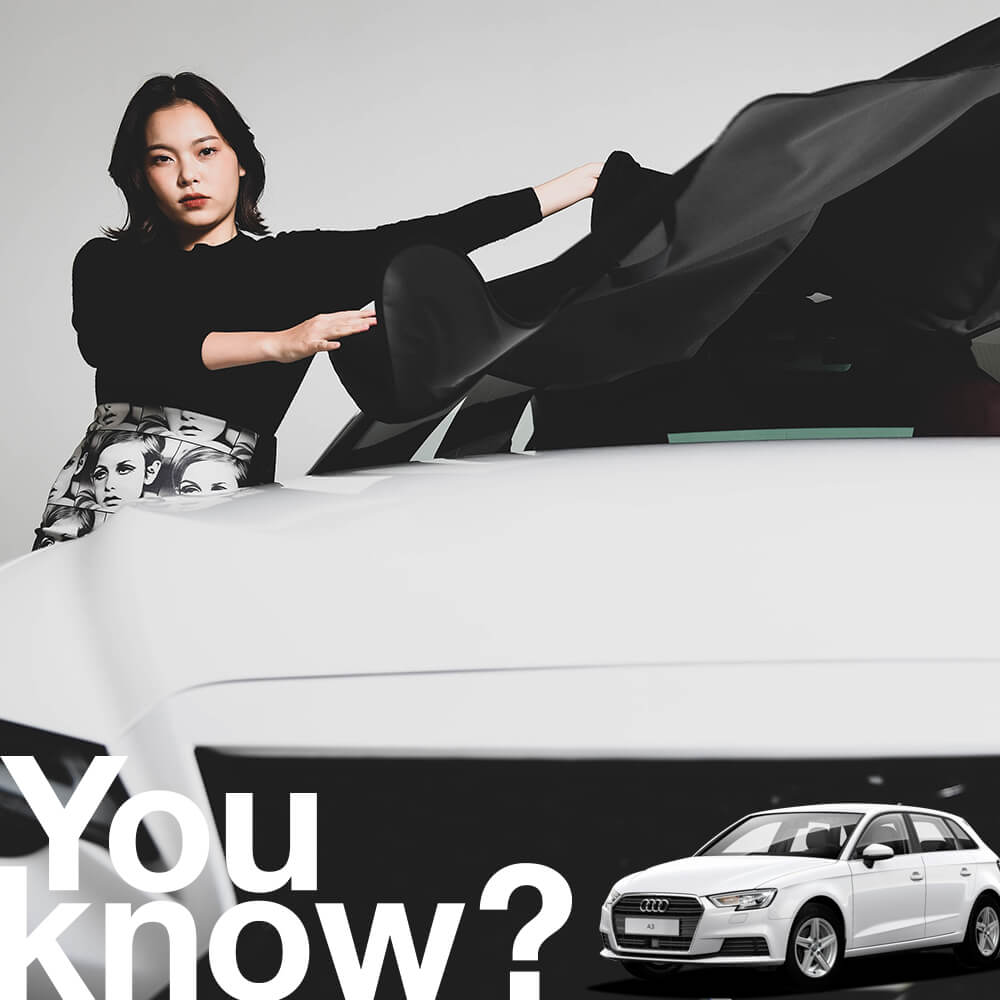 高級車用】 朝、フロントガラスの凍結を防止する。 アウディ AUDI A3