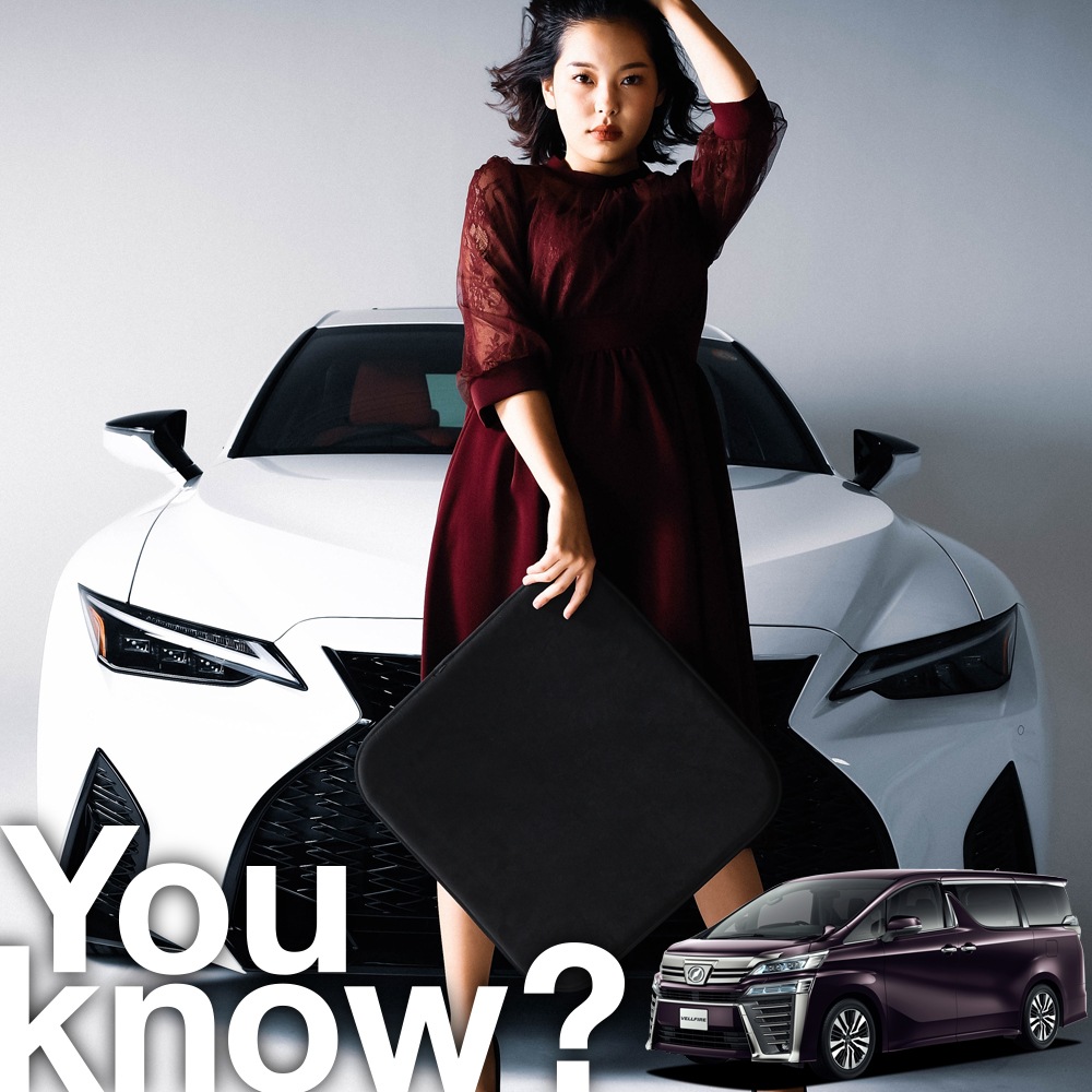 高級2枚セット ヴェルファイア 30系 Vellfire 30w 35w シートクッション シートカバー 運転席 助手席 アルカンターラと同じ生地を採用した東レのウルトラスエード使用 日本製 座布団 シート レザー クッション 内装 カスタム 車 車用 傷 汚れ シワ 腰痛