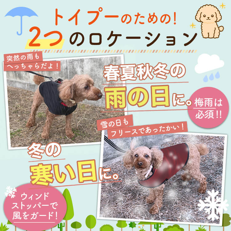 �ȥ��ס��ɥ� �ȥ��ס� �� ���� �쥤�󥳡��� �ɥå������� ������ ���㥱�å� �٥��� �������� �Ȥ��� �ɴ� ��æ ��ñ �ɿ� �ݲ� �ե꡼�� ΢���� �꡼�� �ϡ��ͥ� �б� ���襤�� �İ��� ����ץ� �� �ڥå� ���� �� ���ڥͥ��ݥ���