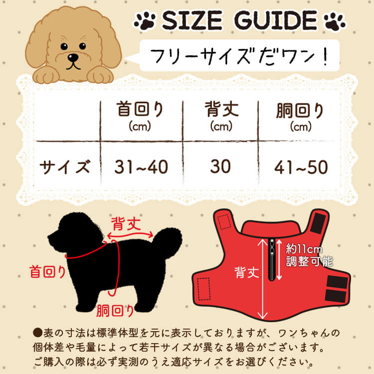 �ȥ��ס��ɥ� �ȥ��ס� �� ���� �쥤�󥳡��� �ɥå������� ������ ���㥱�å� �٥��� �������� �Ȥ��� �ɴ� ��æ ��ñ �ɿ� �ݲ� �ե꡼�� ΢���� �꡼�� �ϡ��ͥ� �б� ���襤�� �İ��� ����ץ� �� �ڥå� ���� �� ���ڥͥ��ݥ���