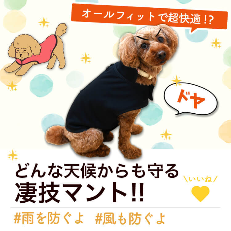 �ȥ��ס��ɥ� �ȥ��ס� �� ���� �쥤�󥳡��� �ɥå������� ������ ���㥱�å� �٥��� �������� �Ȥ��� �ɴ� ��æ ��ñ �ɿ� �ݲ� �ե꡼�� ΢���� �꡼�� �ϡ��ͥ� �б� ���襤�� �İ��� ����ץ� �� �ڥå� ���� �� ���ڥͥ��ݥ���