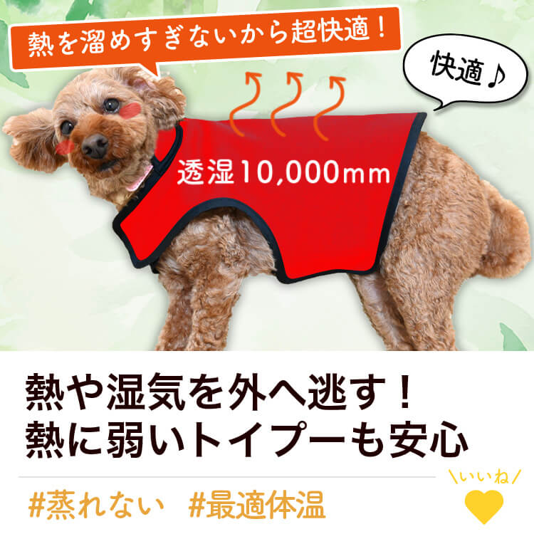 �ȥ��ס��ɥ� �ȥ��ס� �� ���� �쥤�󥳡��� �ɥå������� ������ ���㥱�å� �٥��� �������� �Ȥ��� �ɴ� ��æ ��ñ �ɿ� �ݲ� �ե꡼�� ΢���� �꡼�� �ϡ��ͥ� �б� ���襤�� �İ��� ����ץ� �� �ڥå� ���� �� ���ڥͥ��ݥ���