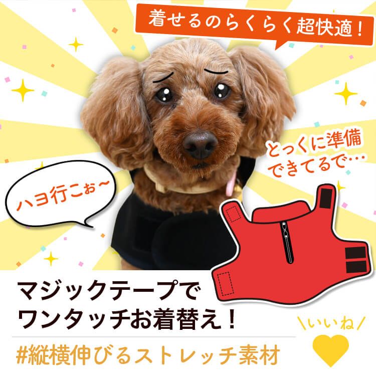 �ȥ��ס��ɥ� �ȥ��ס� �� ���� �쥤�󥳡��� �ɥå������� ������ ���㥱�å� �٥��� �������� �Ȥ��� �ɴ� ��æ ��ñ �ɿ� �ݲ� �ե꡼�� ΢���� �꡼�� �ϡ��ͥ� �б� ���襤�� �İ��� ����ץ� �� �ڥå� ���� �� ���ڥͥ��ݥ���