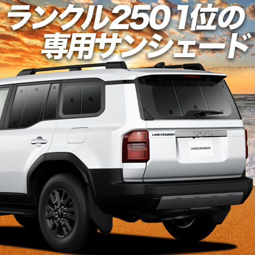  ɥ롼 250  󥯥 250  7; ץ饤Х󥷥 ꥢ