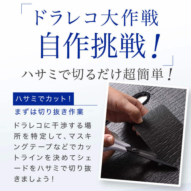 ʼ ɥ롼 250  ƥ󤤤餺׸ɿ奷쥹󥷥 ե륻å  ̲ ɻ ǳ μ¿񥰥å ȥɥ  糰   ѡ 󥯥 250  