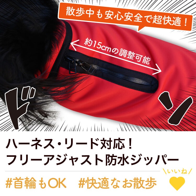 ���å����ե�� ���å��� �� ���� �쥤�󥳡��� �ɥå������� ������ ���㥱�å� �٥��� �������� �Ȥ��� �ɴ� ��æ ��ñ �ɿ� �ݲ� �ե꡼�� ΢���� �꡼�� �ϡ��ͥ� �б� ���襤�� �İ��� ����ץ� �� �ڥå� ���� �� ���ڥͥ��ݥ���