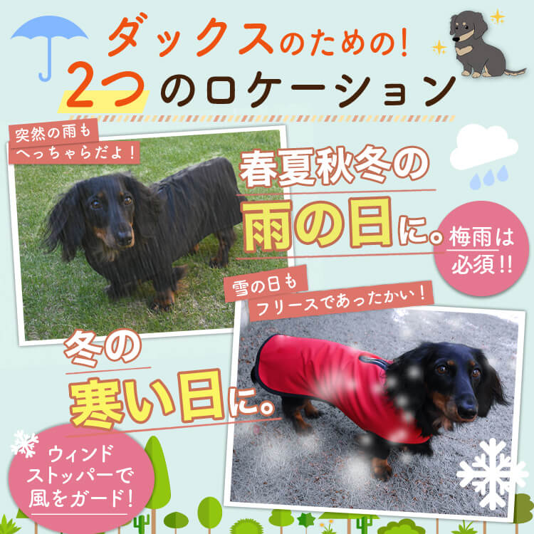 ���å����ե�� ���å��� �� ���� �쥤�󥳡��� �ɥå������� ������ ���㥱�å� �٥��� �������� �Ȥ��� �ɴ� ��æ ��ñ �ɿ� �ݲ� �ե꡼�� ΢���� �꡼�� �ϡ��ͥ� �б� ���襤�� �İ��� ����ץ� �� �ڥå� ���� �� ���ڥͥ��ݥ���