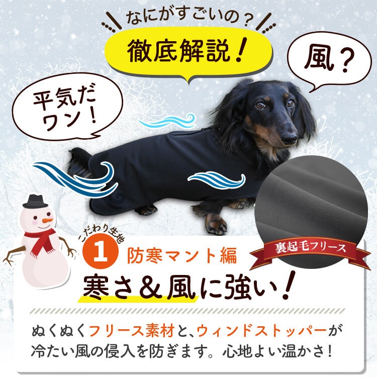 ���å����ե�� ���å��� �� ���� �쥤�󥳡��� �ɥå������� ������ ���㥱�å� �٥��� �������� �Ȥ��� �ɴ� ��æ ��ñ �ɿ� �ݲ� �ե꡼�� ΢���� �꡼�� �ϡ��ͥ� �б� ���襤�� �İ��� ����ץ� �� �ڥå� ���� �� ���ڥͥ��ݥ���