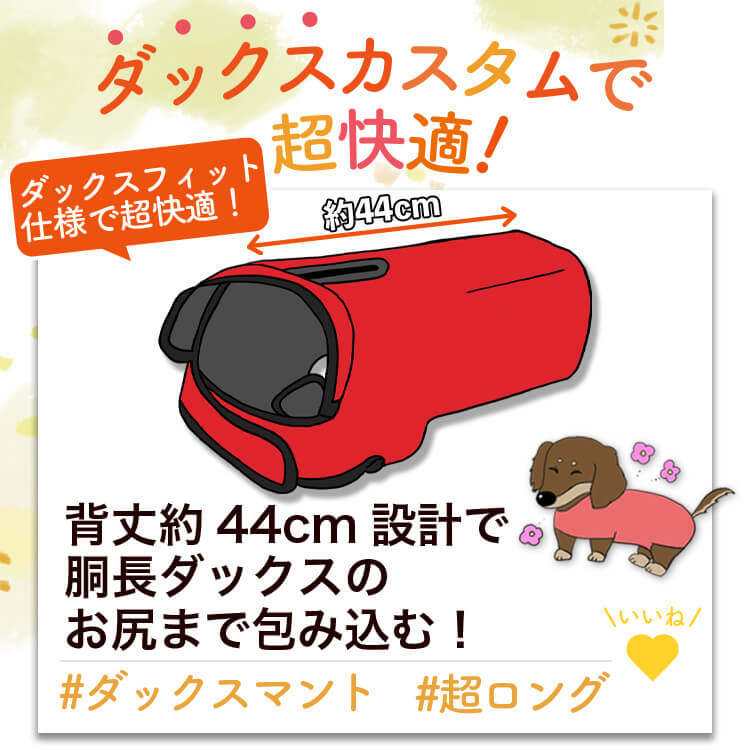 ���å����ե�� ���å��� �� ���� �쥤�󥳡��� �ɥå������� ������ ���㥱�å� �٥��� �������� �Ȥ��� �ɴ� ��æ ��ñ �ɿ� �ݲ� �ե꡼�� ΢���� �꡼�� �ϡ��ͥ� �б� ���襤�� �İ��� ����ץ� �� �ڥå� ���� �� ���ڥͥ��ݥ���