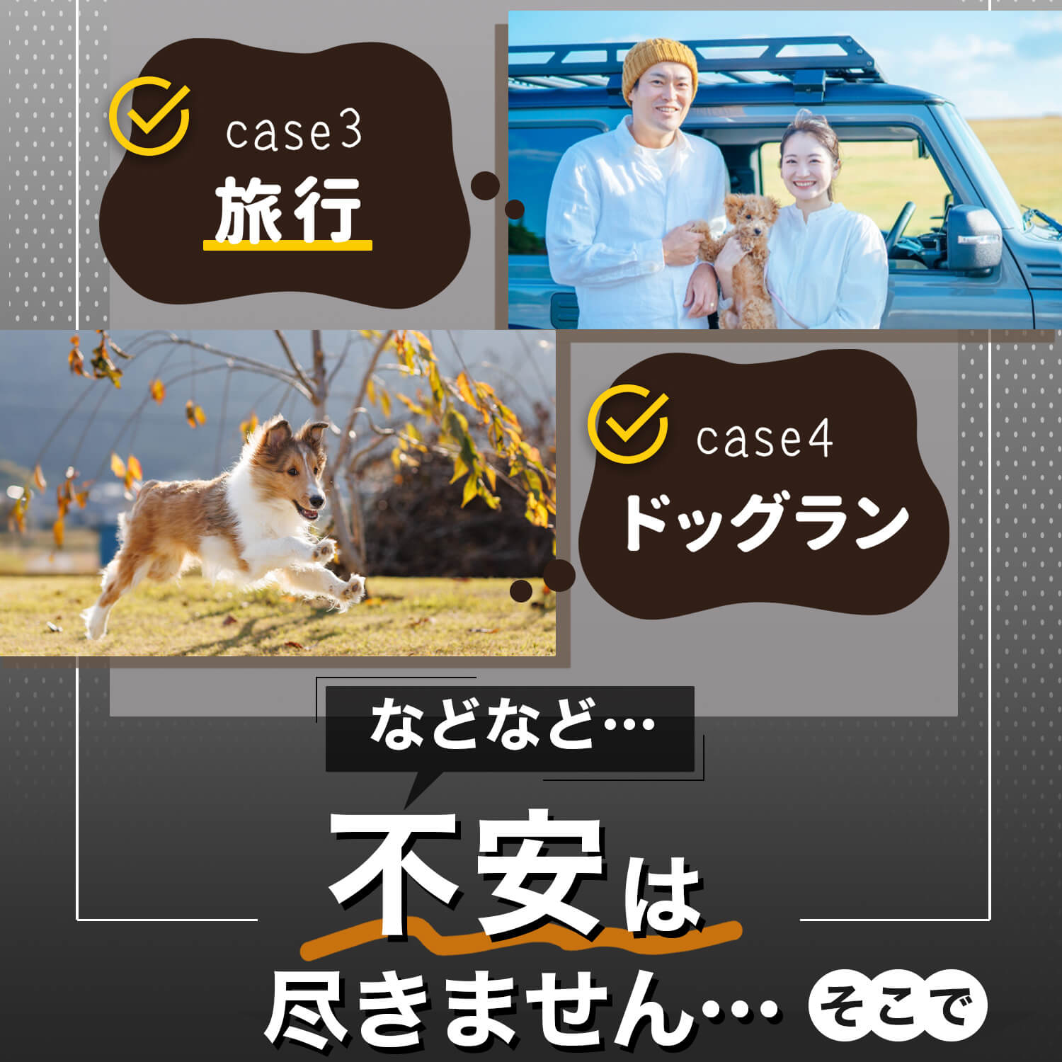 �ڥå� �� �ɥ饤�֥����� �� �ڥå��� ���� ���������� �����ȥ��С� ���� ���ƥåץ若�� RP 6�� 7�� 8�� ����� C28�� �Υ� 90�� ���������� 90�� �������� �����ɻ� �ɥ饤�֥ܥå��� �����ȥɥ� �饲�å� �ڥåȥ����ȡ�LotNo.01��