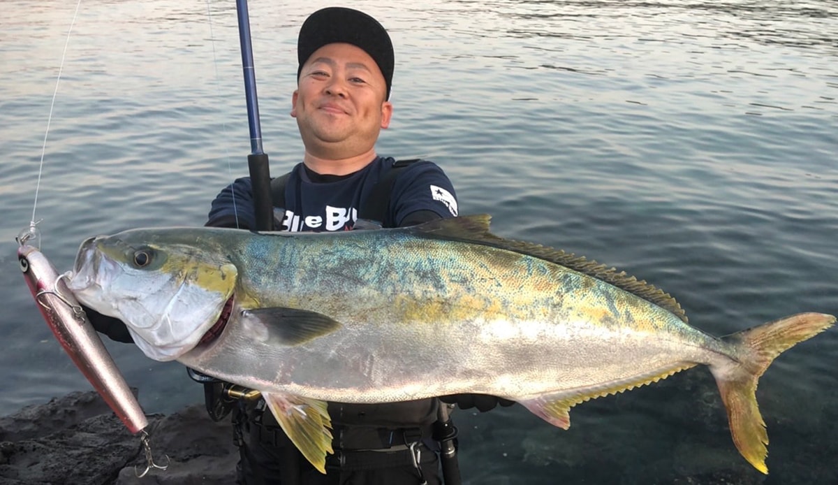 GONTA220 | For BIG GAME,GONTA | アトール・オンラインショップAtoll