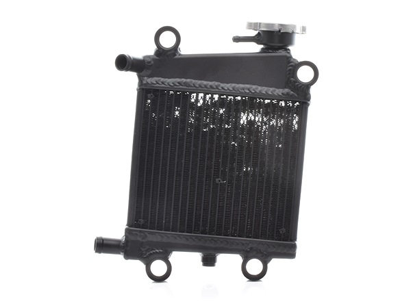 NMAX125 SEG6J NMAX150 SG66J 2021-モデル 強化 アルミ
