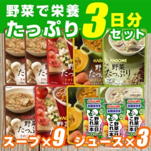 野菜たっぷり3日分セット 5年保存|保存食|保存食・保存水