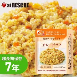 The Next Dekade 7年保存 カレーピラフ 1食分 【取寄せ品】|保存食|保存食・保存水