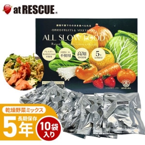 ALL SLOW FOOD (オールスローフード)　高知乾燥野菜ミックスBOX 1箱 10袋入　【野菜 1箱】