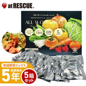 ALL SLOW FOOD (オールスローフード) 高知乾燥野菜ミックスBOX 5箱（50袋） 【野菜 5箱】