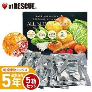 ALL SLOW FOOD (オールスローフード) 高知乾燥果物ミックスBOX 5箱（合計35袋入り）　【果物 5箱】