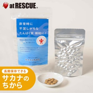 飢餓時の栄養補助食品 非常用 サカナのちから 30g 単品【取寄せ品】  長期保存 無添加 長期保存 備蓄 食料 保存食 食品 非常食 防災食 非常食  登山 アウトドア たんぱく質補給 栄養不足 魚