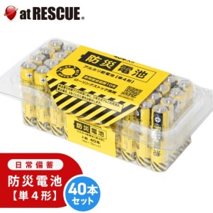 防災電池 超長期保存（単4形・40本パック）【台風 停電対策】【保存期間：2034年9月まで】