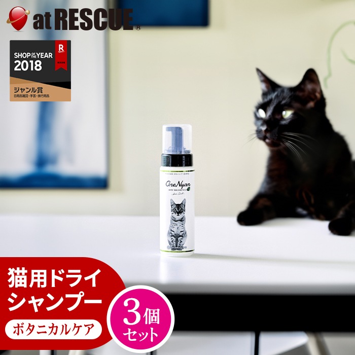 ビオドラガ モイストトナー クロネコさん専用 プラクト キャット ドライフード 幼猫～成猫用 カツオ味 1.2kg｜郵便局